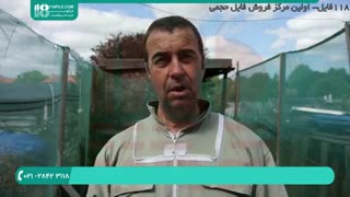 آموزش زنبورداری نحوه بررسی هفتگی کندو