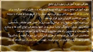 روش برخورد با زنبورهای بد رفتار در زنبورداری