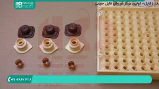 برسی ابزار نوین الکتریکی در پرورش زنبور عسل