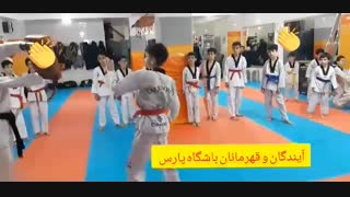 #ویدئو_میت زنی تکواندو ✅   میت زنی سرعتی تکواندو لحظه‌ای و زیبا زنجان( وبلاگ تکواندو استاد جلیل قلندری)