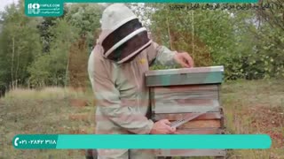 آموزش زنبورداری کامل | wWw.118file.com