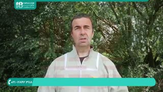 آموزش زنبورداری مدرن در ایران