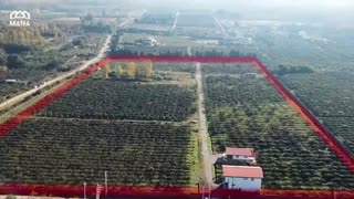 خرید 3 ویلا باغ در کلارآباد