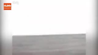 صحنه حیرت انگیز شکار روباه توسط عقاب