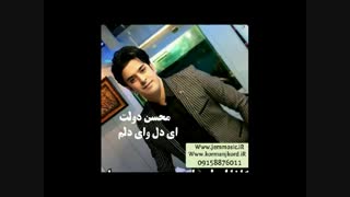 دانلود آهنگ جدید محسن دولت به نام ای دلم وای دلم