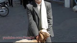 13 شباهت جالب دین اسلام با یهودیت