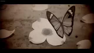نایتکور مرگ پروانه ها _ Nightcore killing butterflies