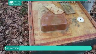 کاملترین آموزش زنبورداری _ 118فایل|09130919448