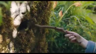 The Secret Garden International Trailer #1 (2020) | Movieclips Trailers