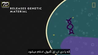بیماری ایدز