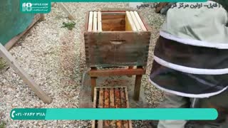 آموزش گام به گام زنبورداری