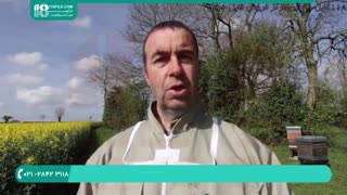 آموزش زنبورداری به صورت کامل