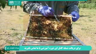 آموزش تعویض شاسی خارجی کندو در زنبورداری _ بخش 2