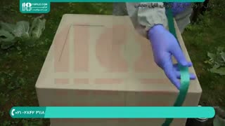 آموزش کامل پرورش زنبور عسل