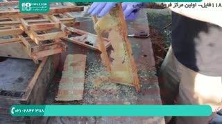 حرفه ای های ایران در زنبورداری نوین قسمت 2