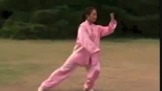 Tai Chi 24-English and Chinese subtitles