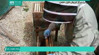 آموزش زنبورداری _ 118فایل|wWw.118file.com