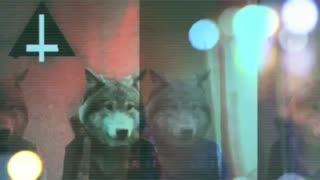 Cars clothes  calories | blackbear