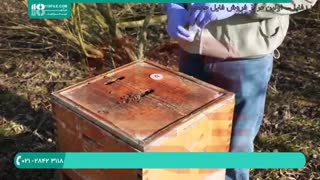 بهترین های زنبورداری در ایران