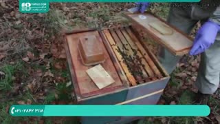 آموزش حرفه ای زنبورداری _ 118فایل