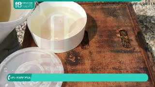 چگونگی پرورش زنبور عسل _ زنبورداری