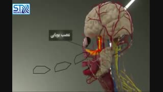 تاثیر آلودگی هوا بر مغز کودکان