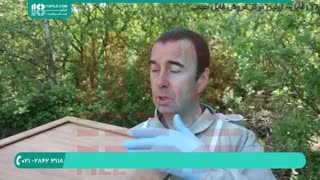 زنبورداری حرفه ای تشخیص بیماری