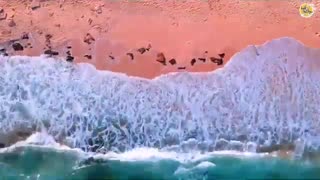 جاذبه های گردشگری کیش | Kish tourist attractions