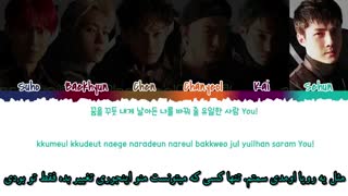 متن و ترجمه فارسی اهنگ Butterfly effect از اکسو (2019)