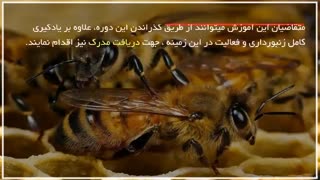 گندزدایی کندو زنبور عسل