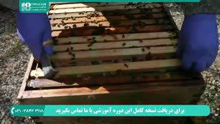فیلم آموزشی استخراج عسل