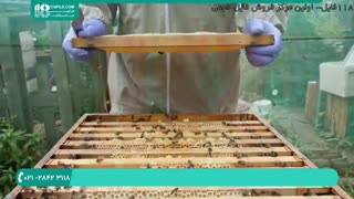 ویدیو آموزشی آماده سازی عسل