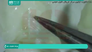 از بهترین فیلم های آموزشی زنبورداری نوین در ایران