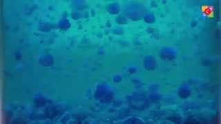 FUN EASY SCIENCE EXPERIMENTS FOR SCHOOL