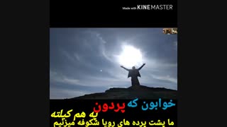 وسیم هوت