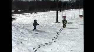 chirstmas tree farm