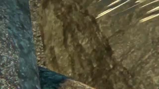 تریلر انیمیشن Fast & Furious Spy Racers