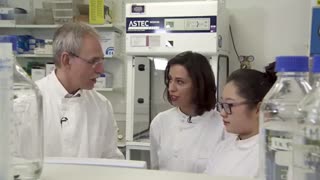 آیا آنتی اکسیدان‌ها می‌توانند جلوی روند پیری را می گیرند؟ آشنایی با اصول رژیم غذایی و علم تغذیه