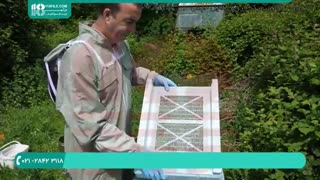 دوره جامع آموزش و پرورش زنبورداری