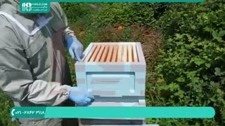 آموزش زنبورداری نوین