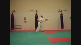 Kyokushin Bo Kata Sono Ni (Chion)