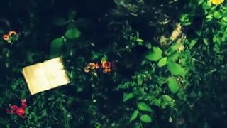 Kimi to zutto by Yu-Yu [Kudo Shinichi no Chousenjou Theme Song]