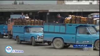 تاثیر افزایش قیمت بنزین بر روی قیمت مرکبات چقدر است؟