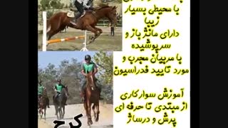 آموزش سوارکاری در کرج  09378297778