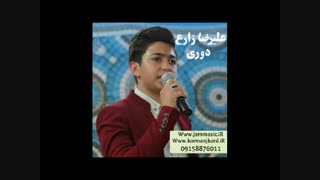 دانلود آهنگ جدید علیرضا زارع به نام دوری