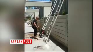 جذاب‌ترین نسل از نردبان