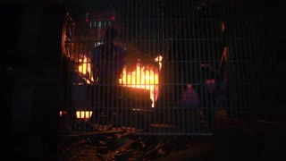 تریلر رونمایی از Resident Evil 3