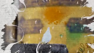 صابر خراسانی عاشقانه با امام رضا(ع)Ali al-Ridha