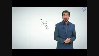 موحدین ایران