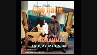 ریمیکس تریبال پویان مختاری چه حالیه دیجی محسن+ لینک دانلود Remix Pooyan Mokhtari - Che Halie